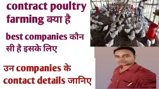 contract poultry farming in india #contractpoultryfarming #poultryfarming #poultryfarm #poultry