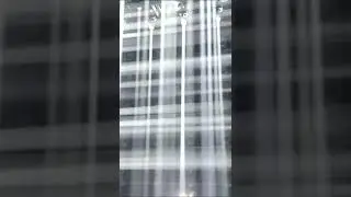 teamLab Borderless || Light Vortex I#shorts