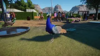 Planet Zoo Franchise | Episode One | Fresh Start | Entrance | Indian Peafowl Habitat |