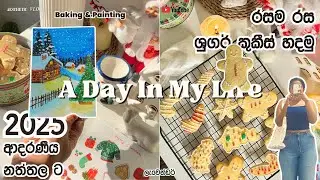 ඔයාලත් මේ විදියට හදලා බලන්න | Christmas Cookie Decorating | Cozy Aesthetic Moments in Sri Lanka ✨