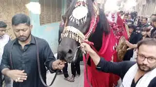 Shabeeh e Zuljanah | 20 Safar 2021 Jaloos | Imam Bargah Mirza Dost Muhammad Rawalpindi