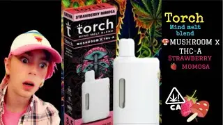 TORCH MINDMELT!! MUSHROOMS X THC-A?!! (is it worth it?)