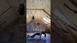 le b&acirc;ton &eacute;tir&eacute; &agrave; 4 membres sur une jambe eka pada utthita chaturanga dandasana