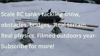 Tiger 1 vs Teeter-Totter ❄️ Multi-Angle Balance Test