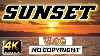 Erik Lund - Tokyo Sunset (Vlog No Copyright Music)
