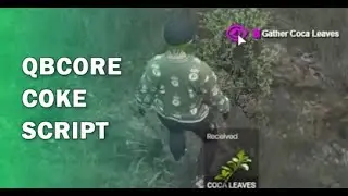 FiveM Coke Gathering/Processing Script for QBCore