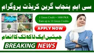 CM Punjab Green Credit Scheme 🌱 2025 | درخت لگاؤ اور پیسے کماؤ