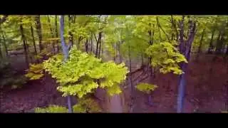 Cootes Paradise Hamilton Ontario