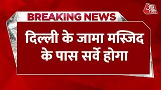 Breaking News: Delhi की Jama Masjid के पास सर्वे होगा, हाईकोर्ट ने दिया आदेश | Top News