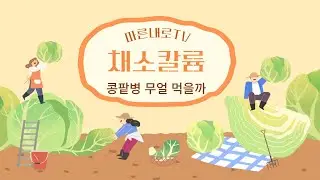콩팥병 무얼 먹을까 (칼륨,채소 편)