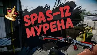 ЭЙС МЕДОМ | SPAS-12 Special Мурена | РМ | Новичпок | #Warface