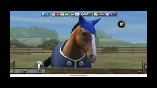 My Horse Gameplay ♡ SUBSCRIBE