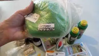 Fertilizers and growth stimulants professional and store bought!