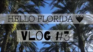Hello Florida! // DCP Spring 2017