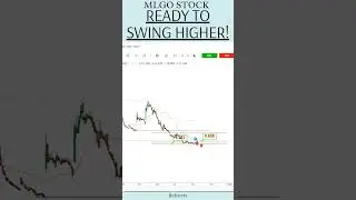 READY TO SWING HIGHER | $MLGO STOCK ANALYSIS #shorts #mlgo #microalgo