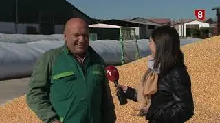 Campo Palentino (8-11-2018)