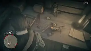 RED DEAD REDEMPTION 2 SPIDERWEB MYSTERY TWO OF HEARTS