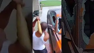 Package thief's worst nightmare just came true...(Best Reaction)