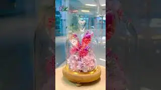 What Makes THIS Pure Purple Rose in Glass Dome So SPECIAL?