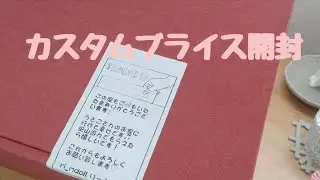カスタムブライス開封