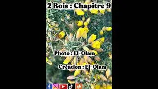 &laquo;&nbsp;2 Rois : Chapitre 9&nbsp;&raquo;#bible#2rois#parolededieu #bibleaudio#chr&eacute;tiens 