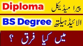 The Real Difference: Paramedical Diploma vs Bachelor Degree