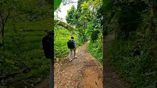 &ldquo;Peaceful Village Walk | Relaxing Nature Shorts&rdquo; 😍🥰 #shorts #villagelife #naturewalk #healing