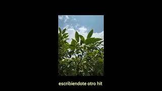 Hoodfella - otro hit (2022)