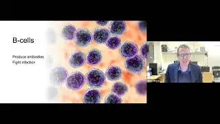 BSMS Monthly Lecture: Will virtual patients help us choose the right drugs?