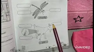 SCIENCE YEAR 1 DLP CLASS: ANIMAL: BODY PARTS OF ANIMAL