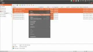 uGet Tutorial - Batch Downloading