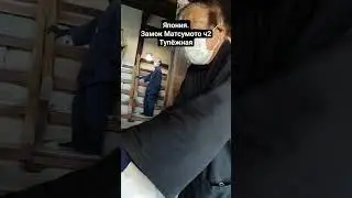 Япония. Замок Матсумото ч2 тупёжная #токио #путешествия #япония #эталонотдых #япония_влог