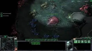 Validity Team League Formless Bearsloths vs TGosu- Siegelink vs Halcyonic