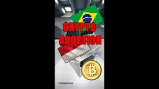Brazil and Indonesia are World Leaders in Crypto Adoption!