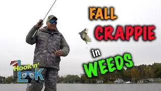 Targeting Fall Crappie in Weeds