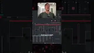 Бесплатный синтезатор Massive X Player в действии | Native Instruments