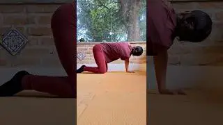 Flex&atilde;o do Tronco M&atilde;os e Ombros Opostos - 365 Posturas F&aacute;ceis de Yoga