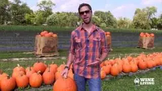 The Best Pumpkin Beers: Quick Sips