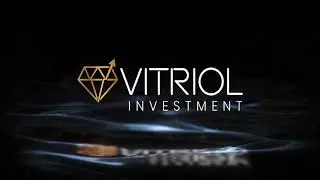VITRIOL INVESTMENT COMPANY