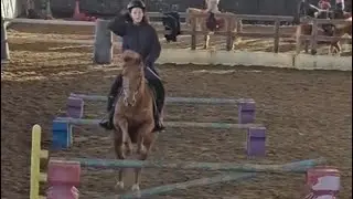 [SÉANCE] Séance de saut avec alibi !❄️