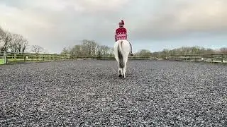 Shouna Sibcy and Whiskey - Novice 3C - Christmas Team Dressage 2025 - Canter Clauses