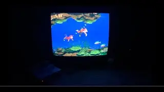 DKC Aquatic Ambience in 1994