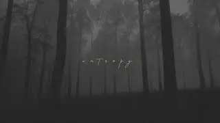 Adira - Entropy