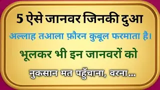 5 ऐसे जानवर जिनकी आह अल्लाह तक पहुँच जाती है | Mazloom Janwar Aur Allah Ka Insaf