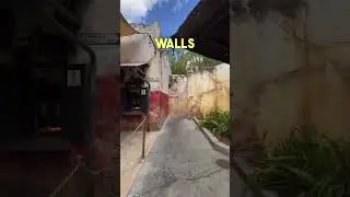 Even the walls are nice to me at Walt Disney World