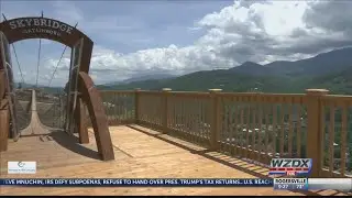 Longest pedestrian bridge in North America opens in Tennessee