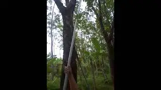 brjuang untuk masa dpan yg cerah