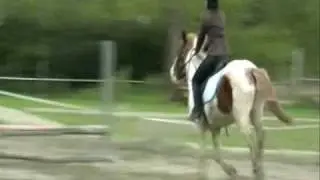 poney club de charlas