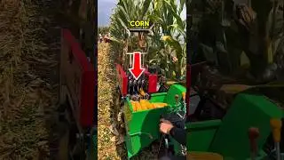 corn harvesting process with modern tools #technology #moderntools #manufacturing #corn
