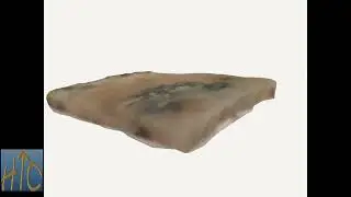 jn0715 Rock Acasta Gneiss
